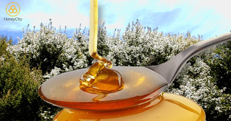 What is Manuka Honey UMF®?