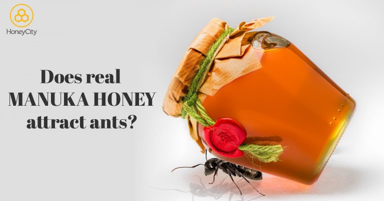 Does manuka honey attract ant?