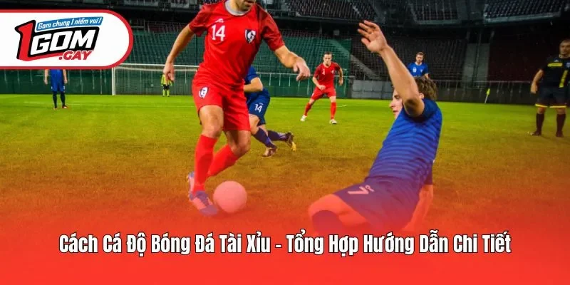 Cách Cá Độ Bóng Đá Tài Xỉu - Tổng Hợp Hướng Dẫn Chi Tiết