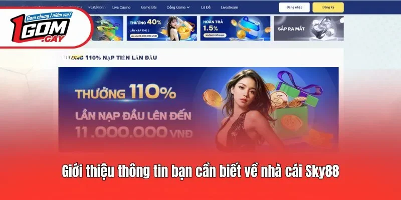 Giới thiệu thông tin bạn cần biết về nhà cái Sky88