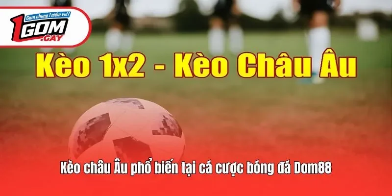 Kèo châu Âu phổ biến tại cá cược bóng đá Dom88