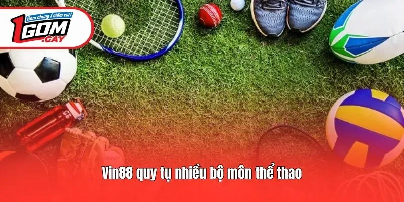 Vin88 quy tụ nhiều bộ môn thể thao
