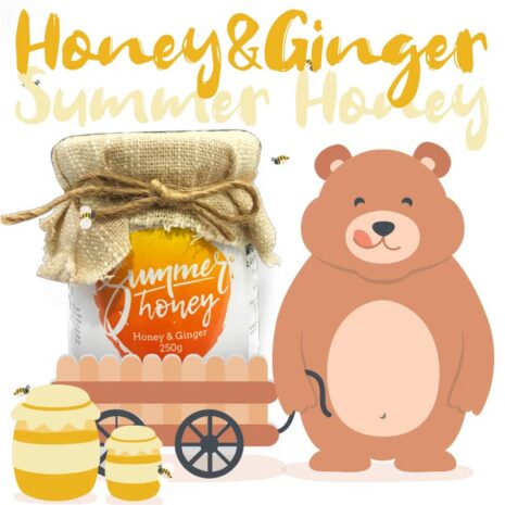Bear-Summer Honey - 夏季蜂蜜之工匠系列蜂蜜生薑Honey＆Ginger